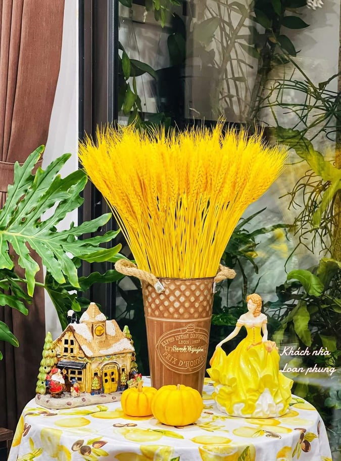 [CÓ QUÀ TẶNG] 100 Bó Hoa Bông Lúa Mạch Khô Decor Trang Trí