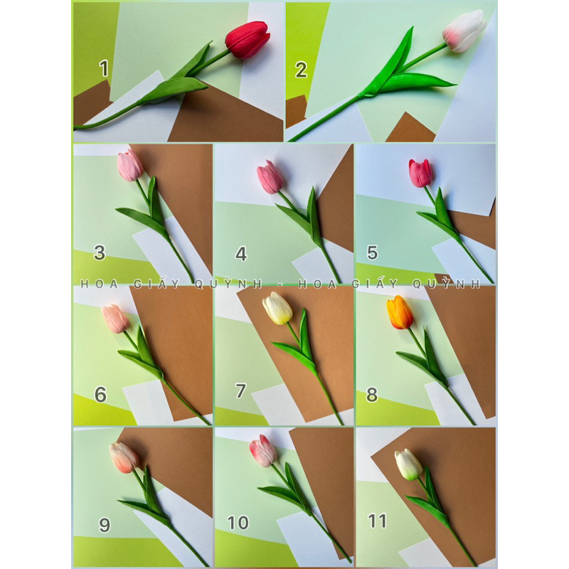 HOA TULIP cao su non mini