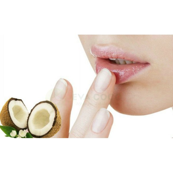 DẦU DỪA DƯỠNG MÔ