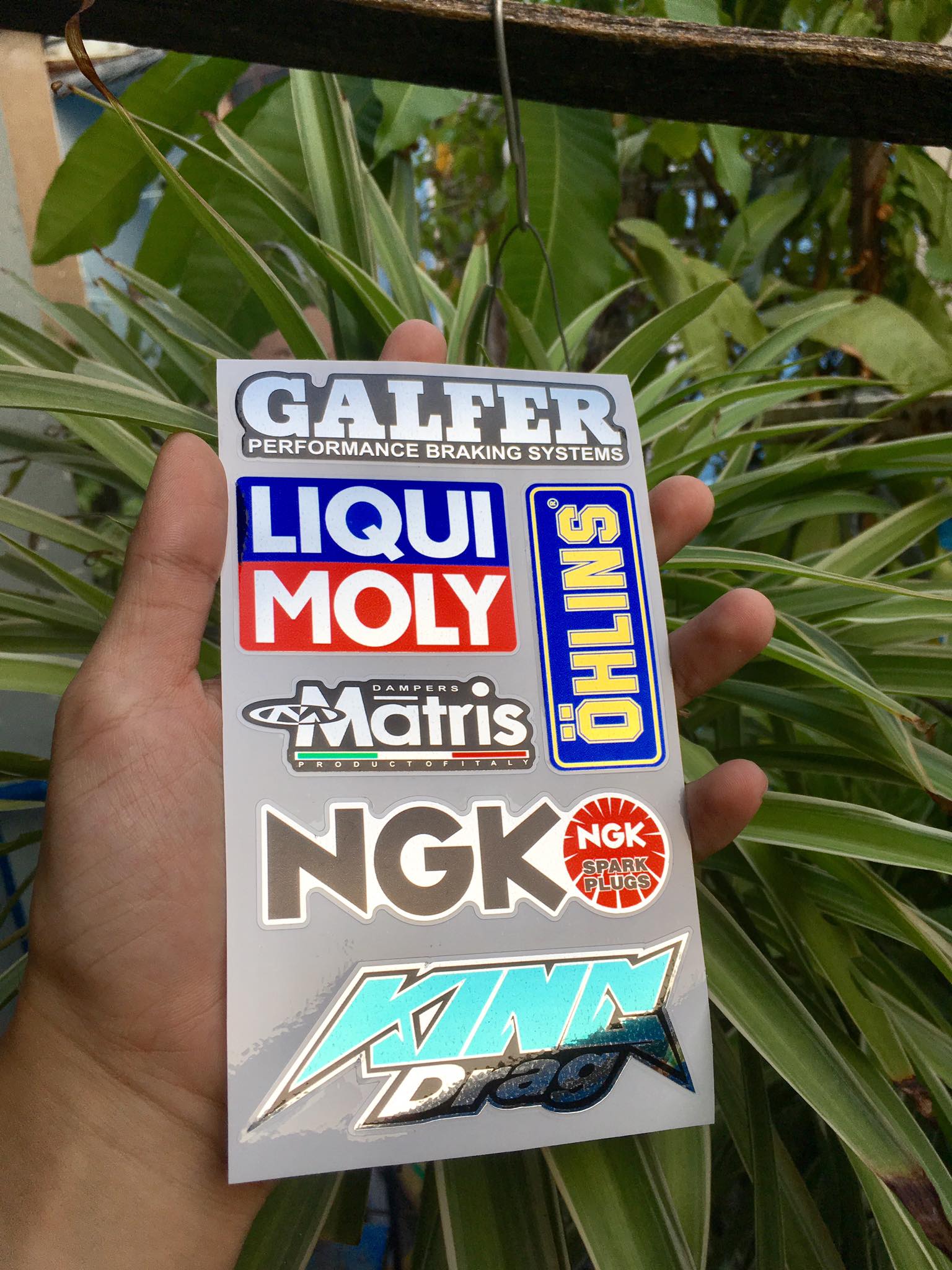 [HCM]TEM LOGO SI CROM KING DRAG GARFER LIQUI