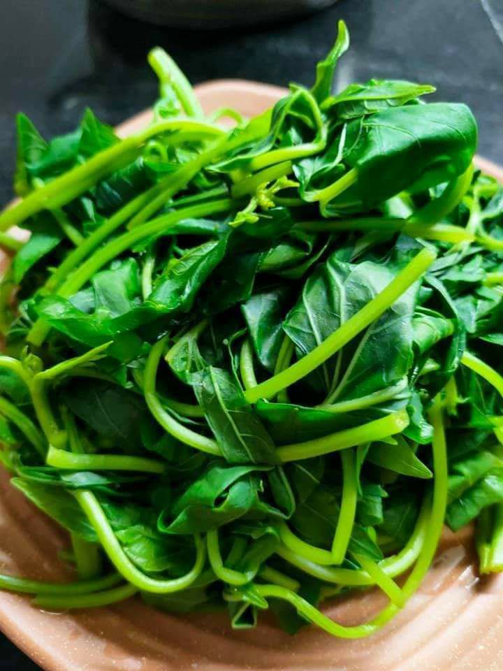 chao môn pha sẵn 580g (40000).