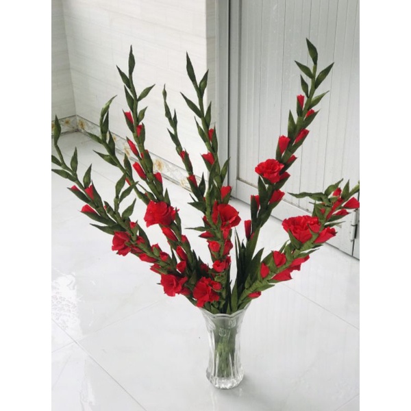 củ lay ơn giống hoa đỏ