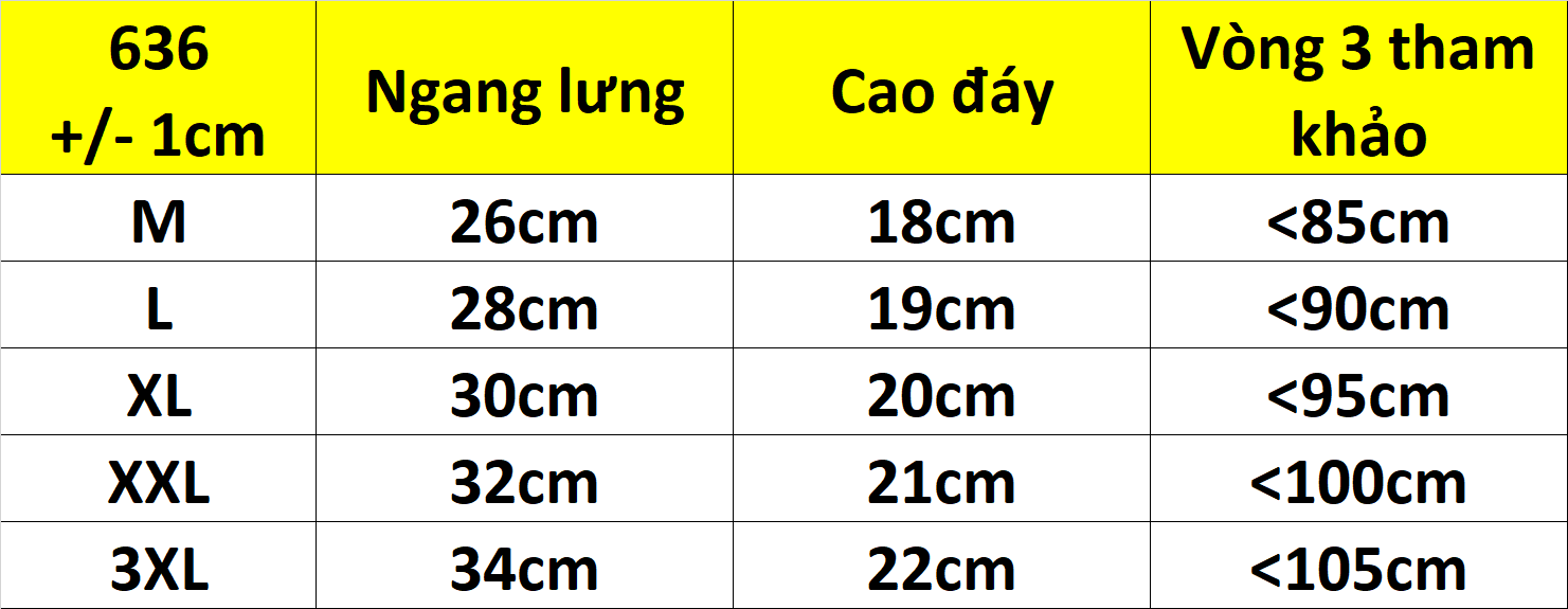 COMBO 5 QUẦN LÓT NỮ THUN MÁT TRƠN 636