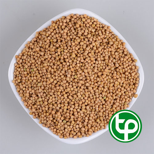 Bạch giới tử khô 1kg - Thảo Dược Tấn Phát