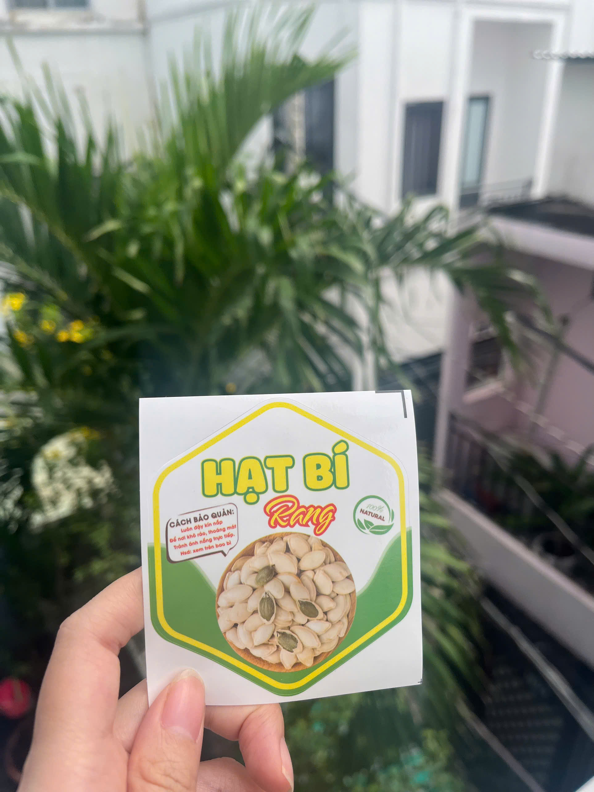 55 tem lục giác 7x8cm - Hạt bí rang