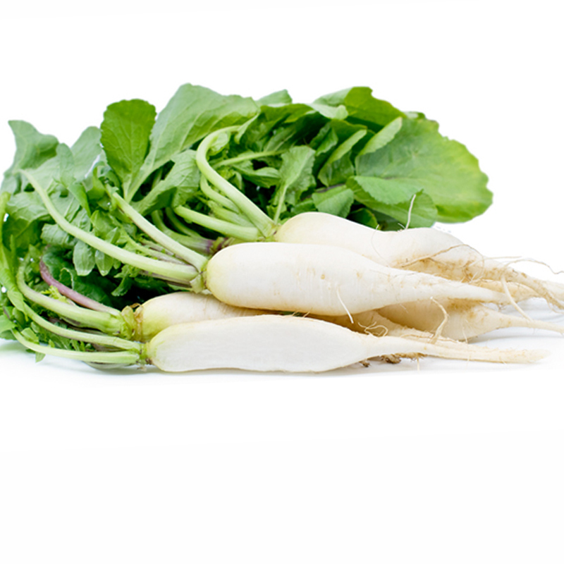 Hạt giống củ cải trắng 50g/túi giá rẻ