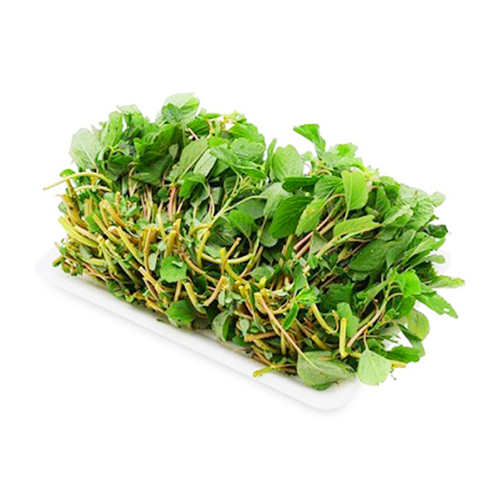 Hạt Giống  Rau Dền Cơm Gói 10gr - RADO 86