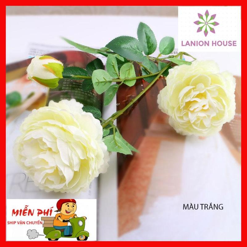 1 cành 3 bông hoa mẫu đơn - hoa hồng quý tộc lụa nhiều màu sắc chất liệu lụa cao cấp mang vẻ đẹp sang trọng phù hợp trang trí phòng, hoa giả trang trí, hoa treo tường, hoa tết, hoa giả để bàn, hoa giả cao cấp MS 16 - LANION HOUSE