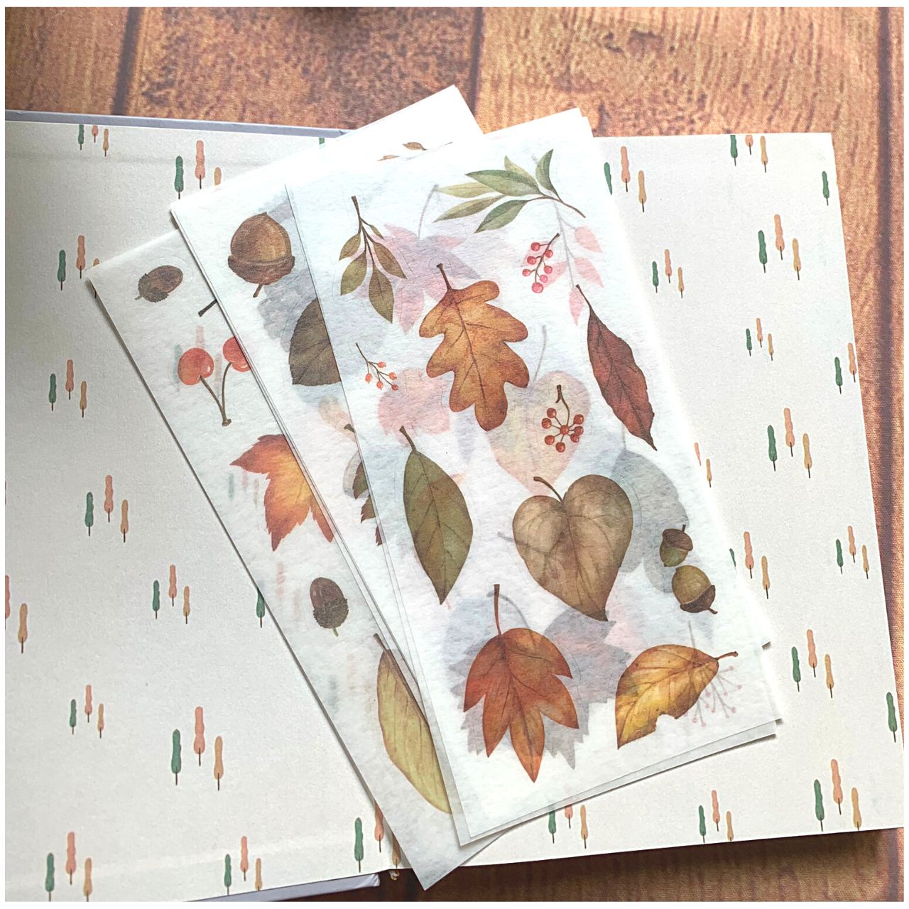 [HCM]Bộ 6 Tấm Sticker Dán Trang Trí - Lá Đỏ