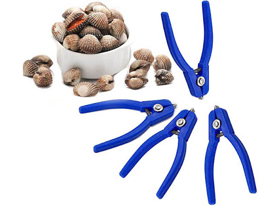 Dụng Cụ Tách Sò Huyết