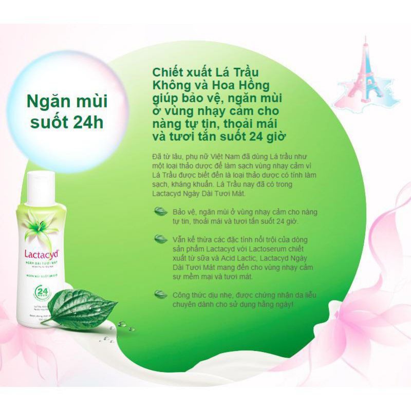 Dung dịch vệ sinh phụ nữ Lactacyd lá trầu không (chai 250ml)