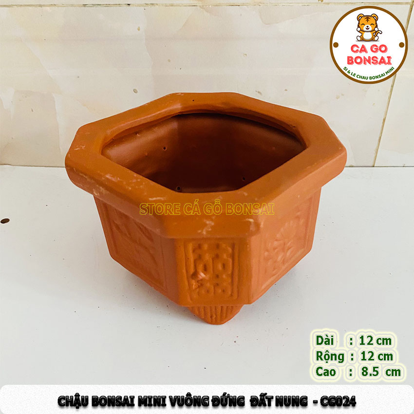 Chậu Mini Vuông Đứng Đất Nung - CG24