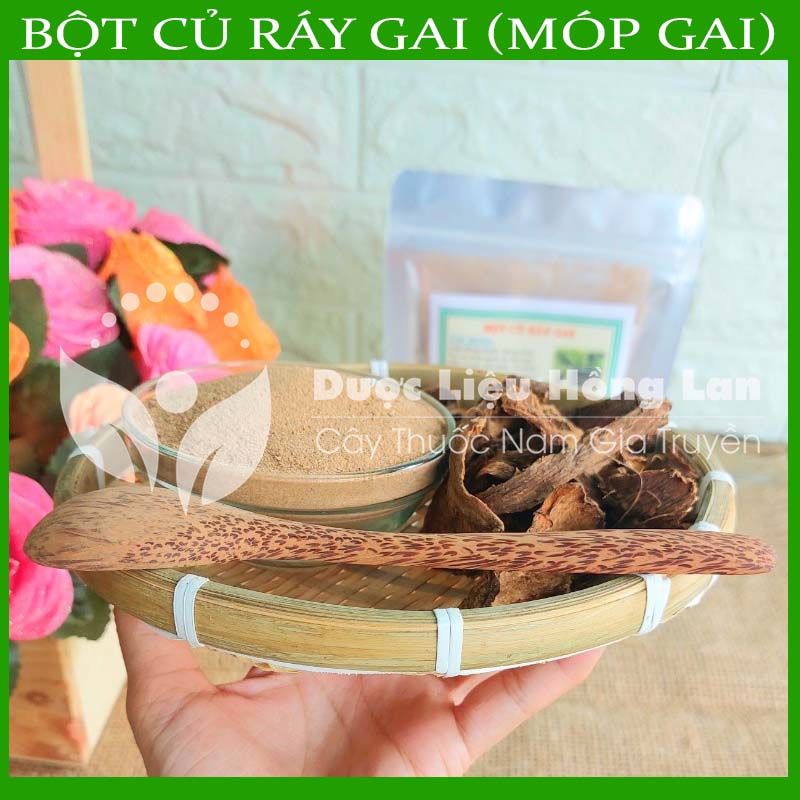✅[Thượng hạng] 500G Bột Củ Ráy Gai (Móp Gai) Nhu nguyên chất (không pha chộn tạp chất, đã sao thơm, không chất bảo quản)