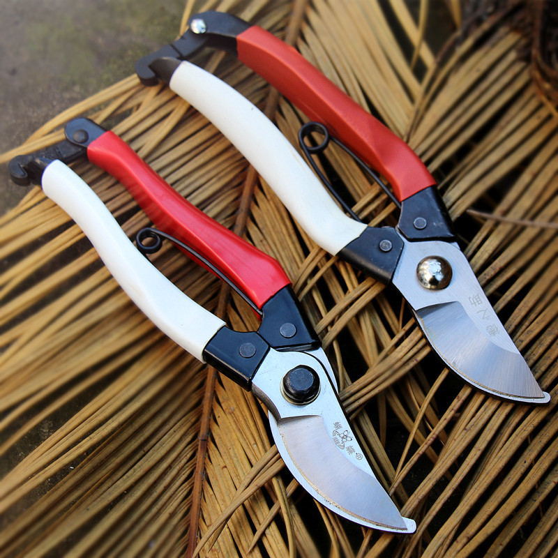 Kéo cắt lá tỉa cành