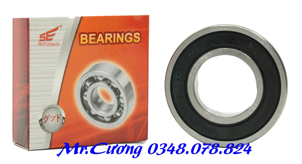 Vòng bi (bạc đạn) xe máy 6905
