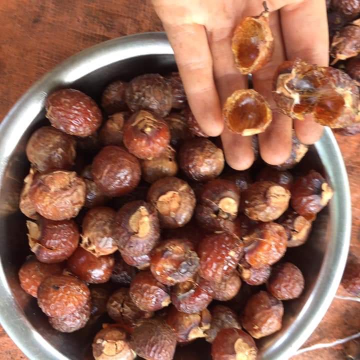 Quả bồ hòn 1kg