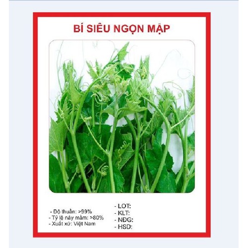 "Gói 10Gr=120Hạt " Hạt giống bí ăn ngọn cao sản ( bí siêu ngọt cao sản )