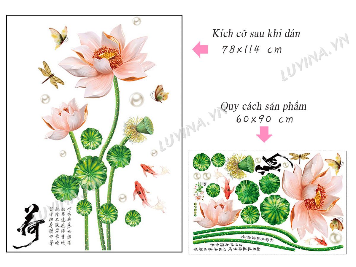 DECAL DÁN TƯỜNG HOA SEN NỤ HỒNG