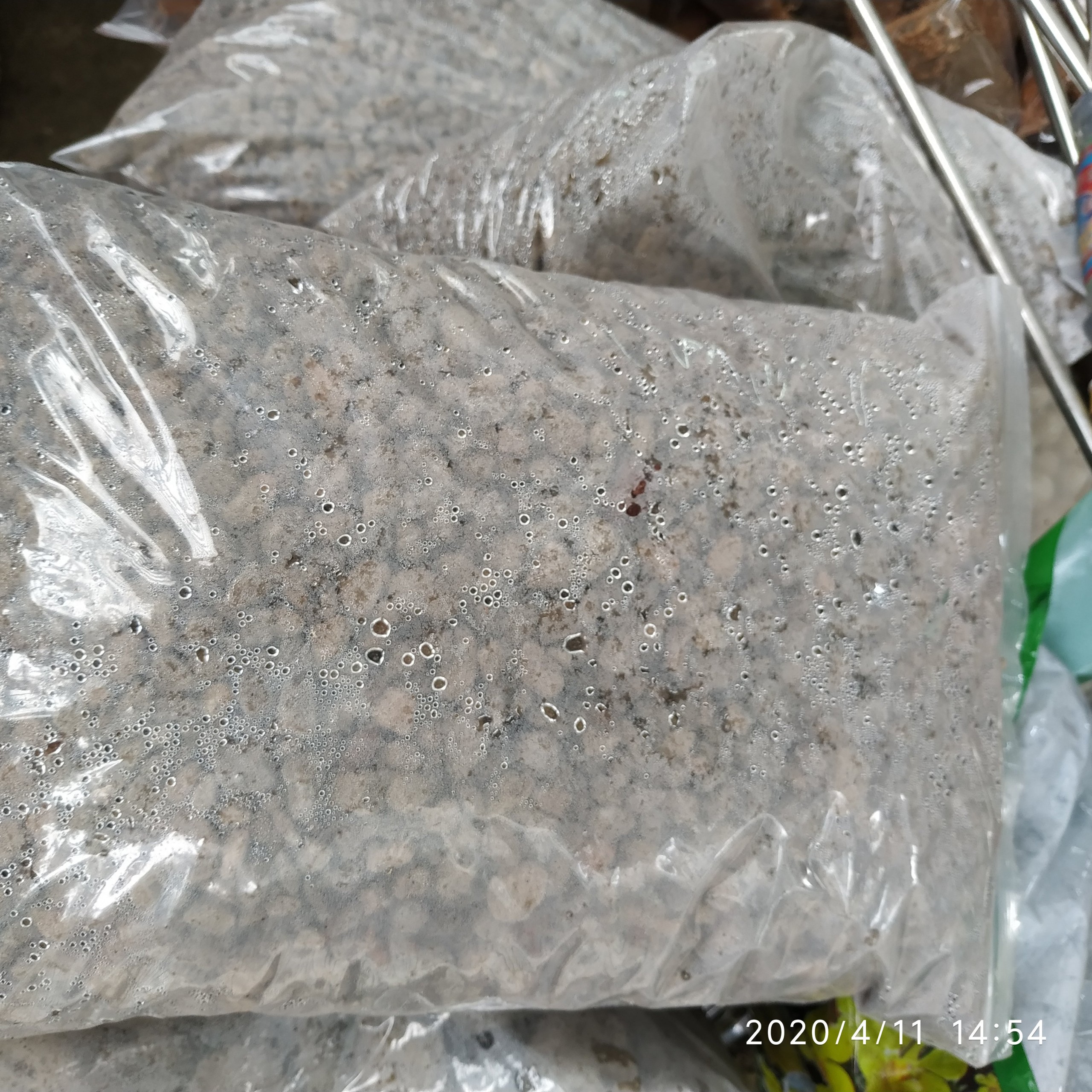 Đá bọt/ đá núi lửa trồng lan gói 1kg