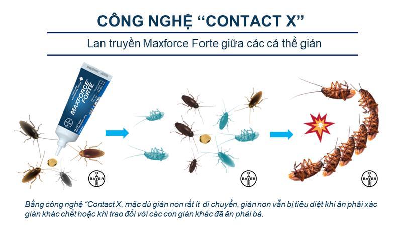 Gel diệt Gián đức Maxforce 20 gam - Đức