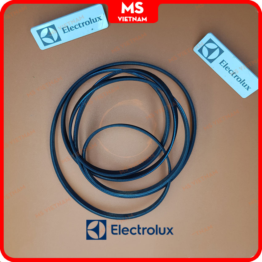 Dây curoa máy sấy Electrolux EDV114 - MS Vietnam