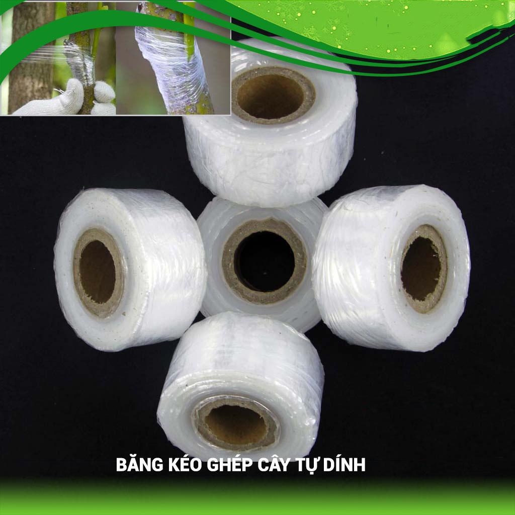 Băng keo ghép cành tự hủy 3cm