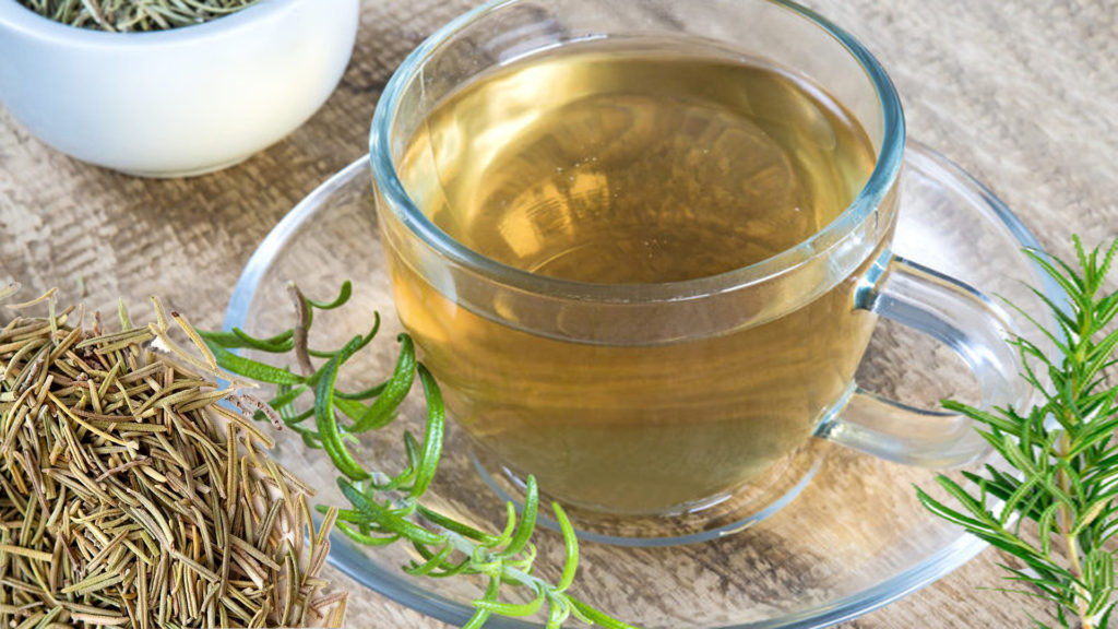 TRÀ HƯƠNG THẢO/ROSEMARY - MỘC HOA TRÀ