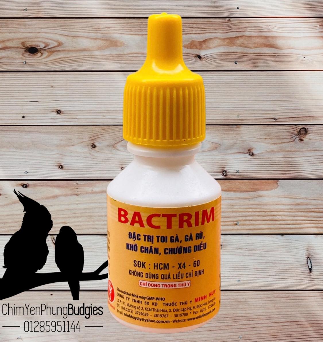 1 lọ Bactrim chuyên tri toi gà, gà rù, khô chân, chướng diều...