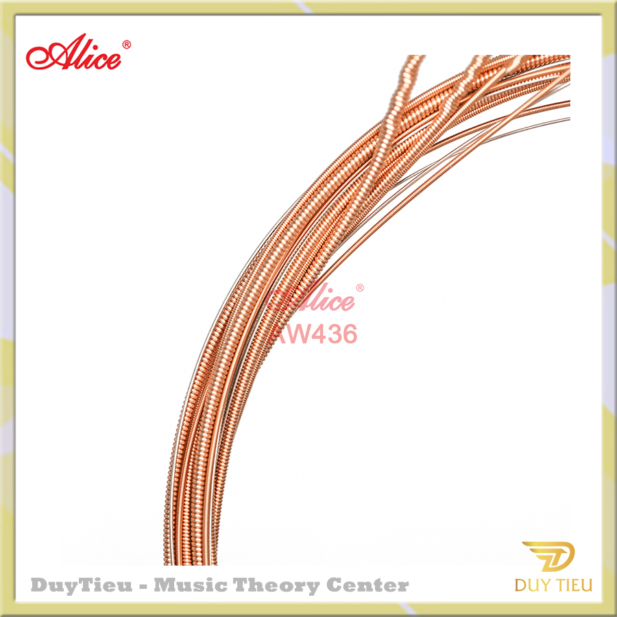 AW436 Acoustic Guitar String Set, Plated Steel Plain string, Phosphor Bronze Winding, Anti-Rust Coating - DuytieuGuitar DT017