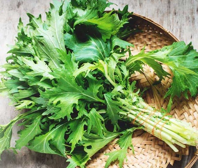 Hạt giống rau Cải ngọt đuôi phụng (10 gram)