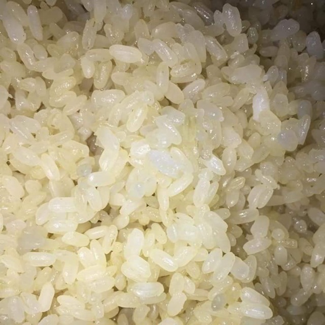 [HCM]Gạo nếp Bắc ( Nếp cái hoa vàng) - 1kg