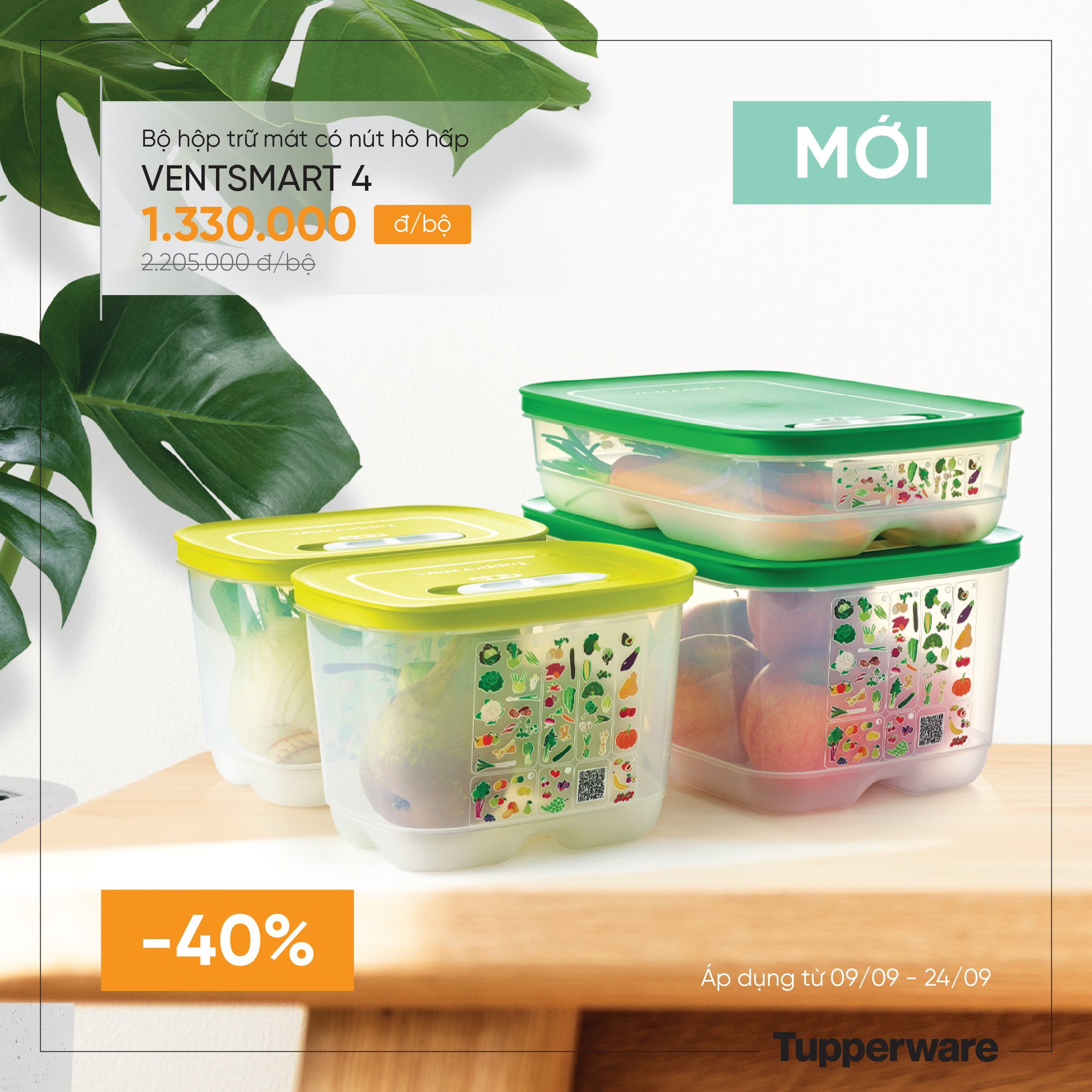 Bộ 4 hộp trữ mát có nút hô hấp VENTSMART