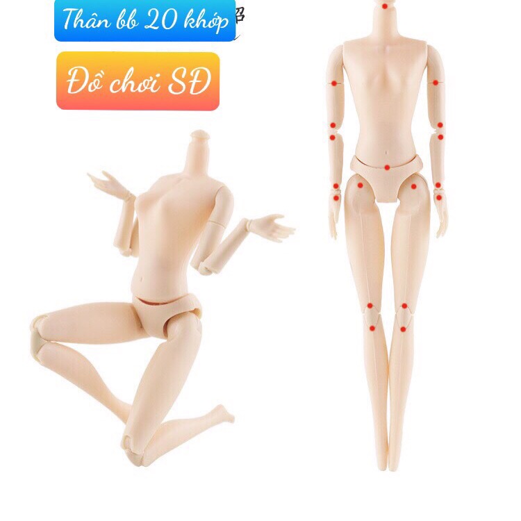Thân búp bê - 20 khớp