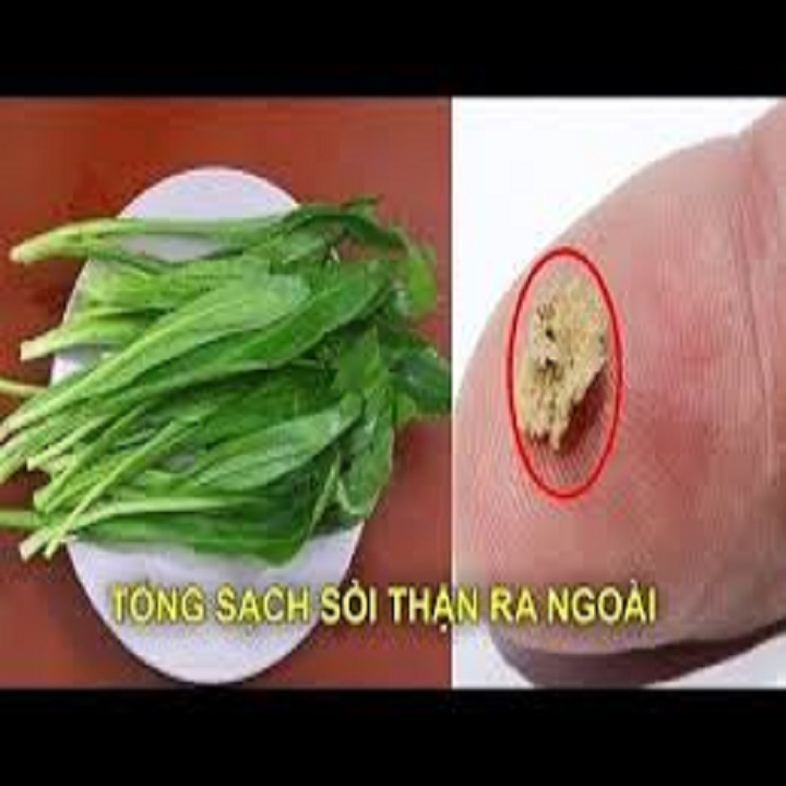 Rau mùi tàu-Rau mùi tàu