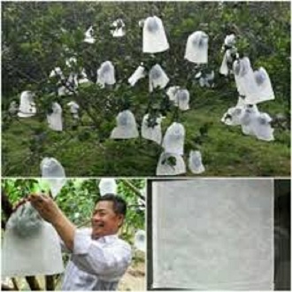(SIÊU KHUYẾN MÃI) SET 200 TÚI BỌC BƯỞI CÓ DÂY RÚT 25X30CM