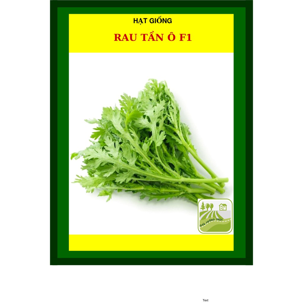 20G - Hạt Giống Rau Tần Ô (Cải Cúc)