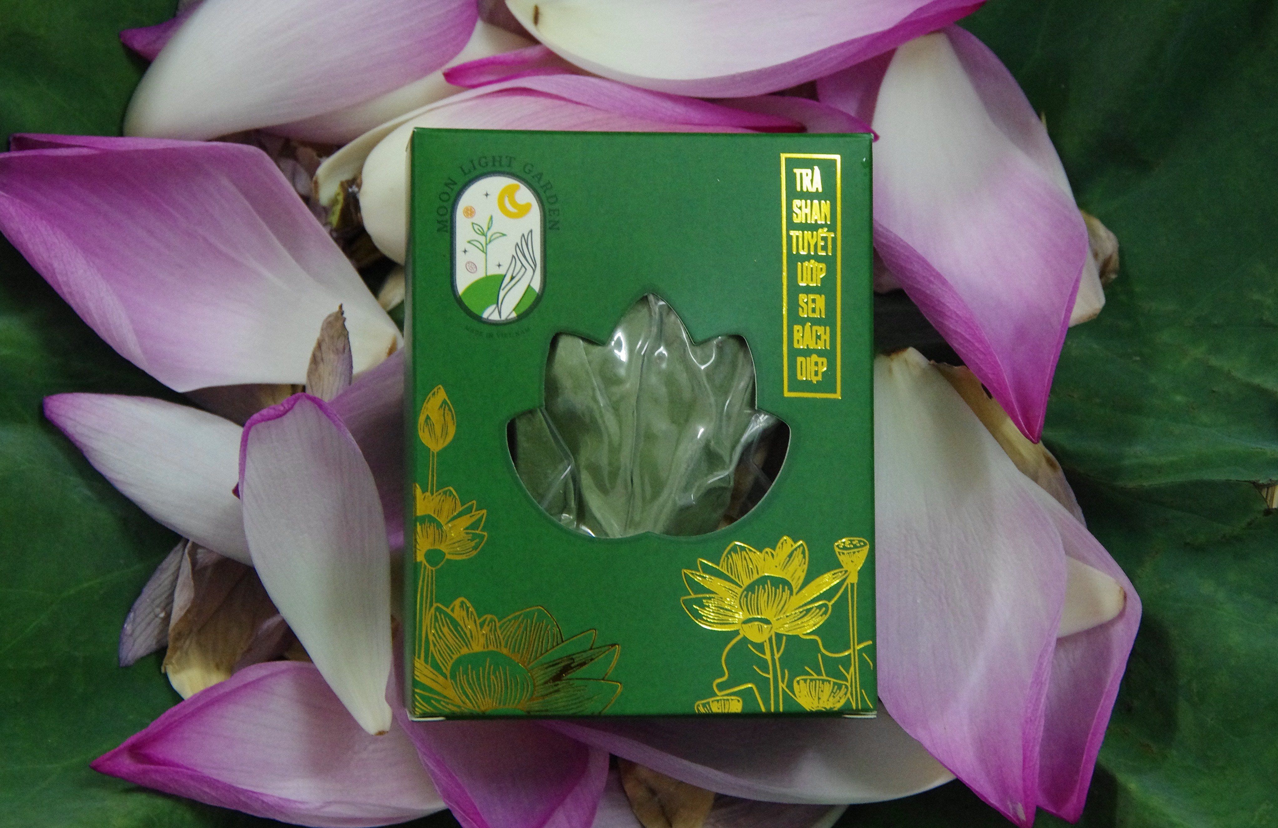 Trà SHAN Tuyết ướp sen BÁCH DIỆP