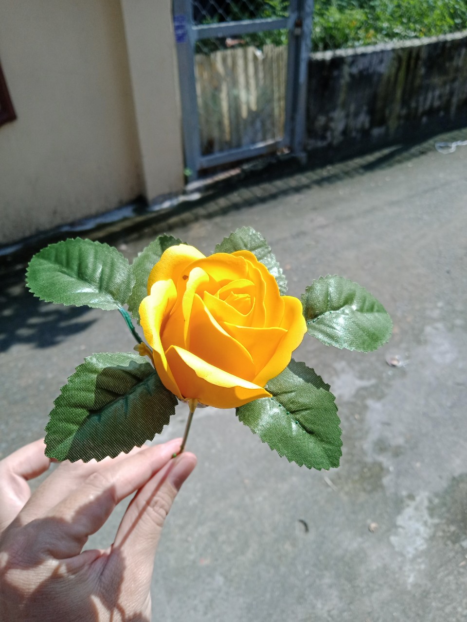 cành hoa hồng sáp ( có cành, có lá )