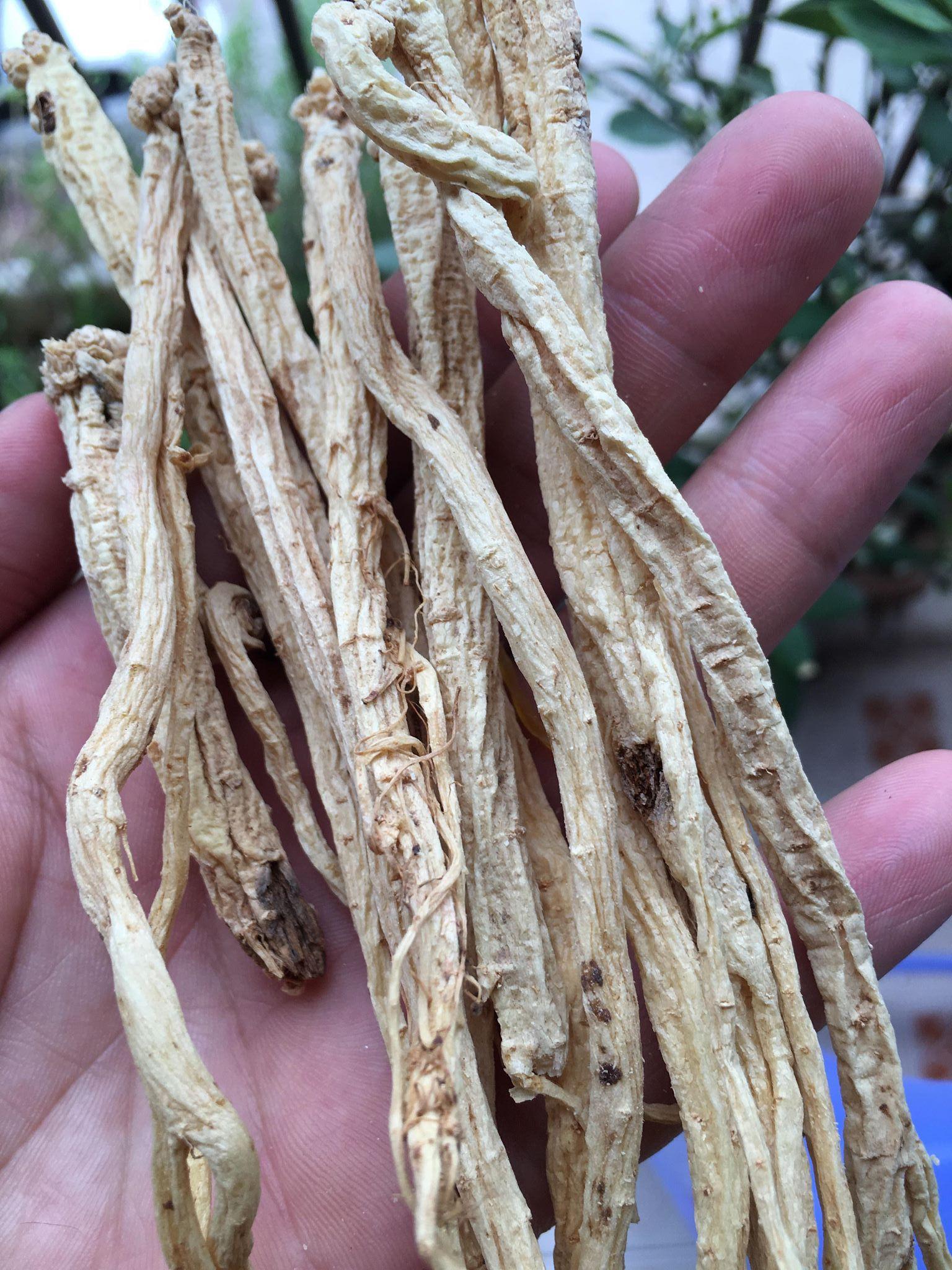 Đẳng Sâm Tây Bắc (Loại Khô Ngon Đặc Biệt) (Gói 1kg)