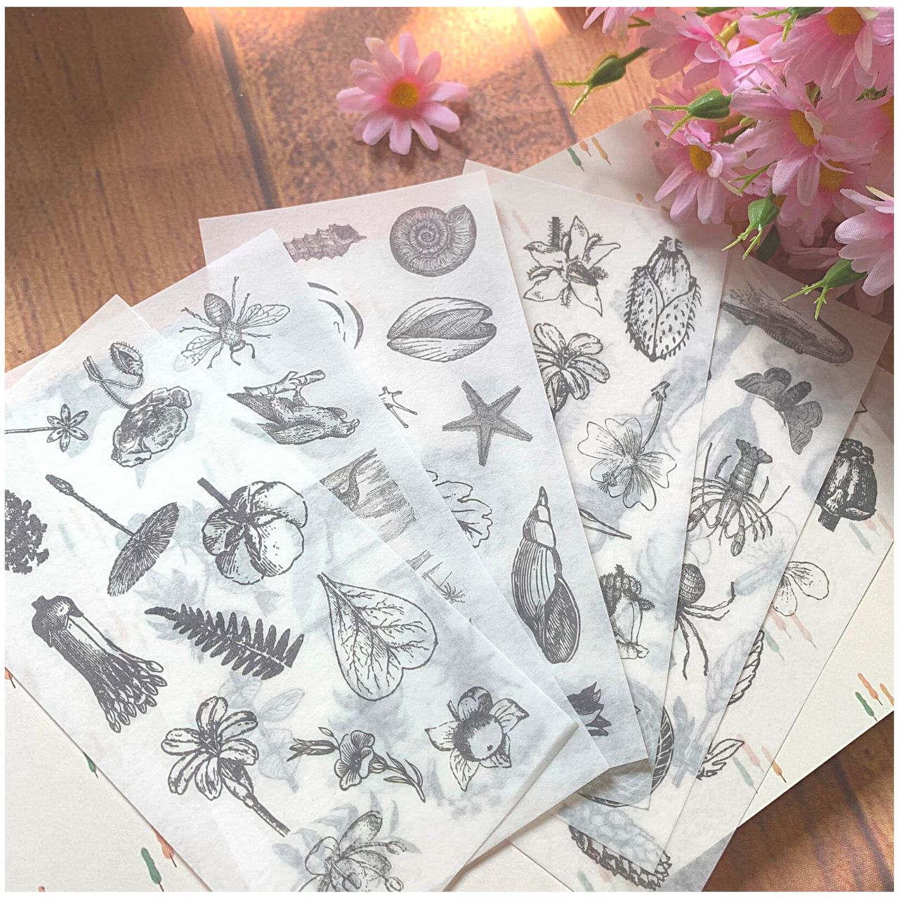 [HCM]Bộ 6 Tấm Sticker Hoa Cổ