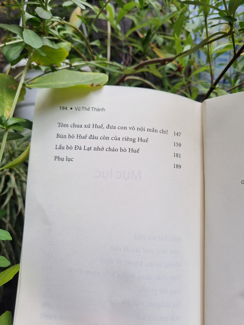 Ẩm Thực Ven Đường Huế