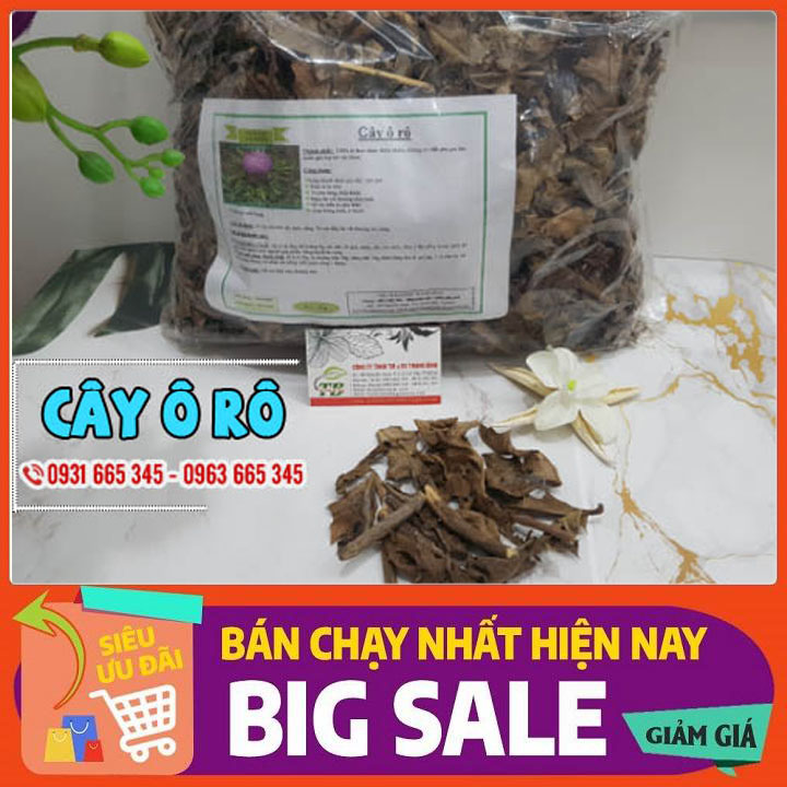 Cây ô rô 500g khô hàng cty chất lượng - hoàng liên ô rô - đông y thanh bình