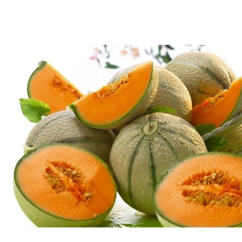 1g hạt giống dưa lưới sọc Rạng Đông