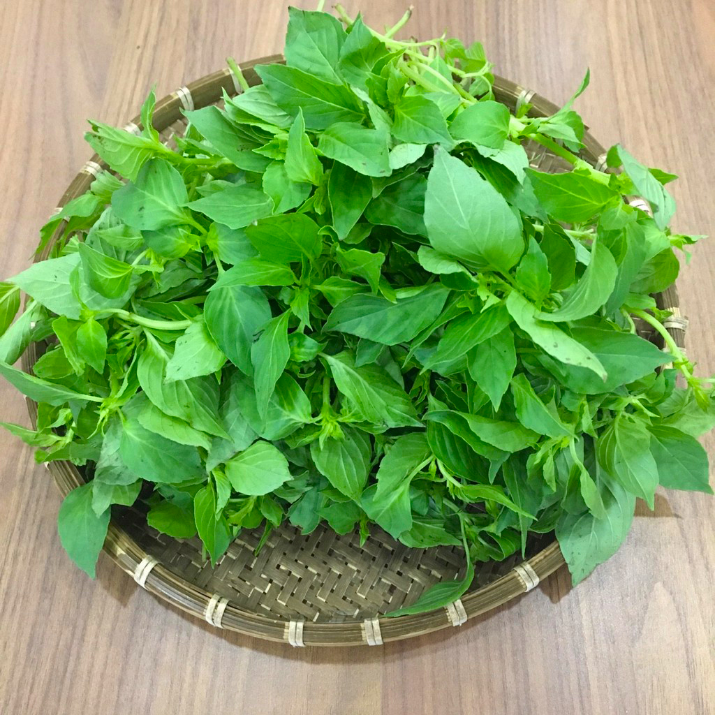 Hạt giống rau húng thơm ( É Trắng) - Rau thơm sả - Gói 2gram