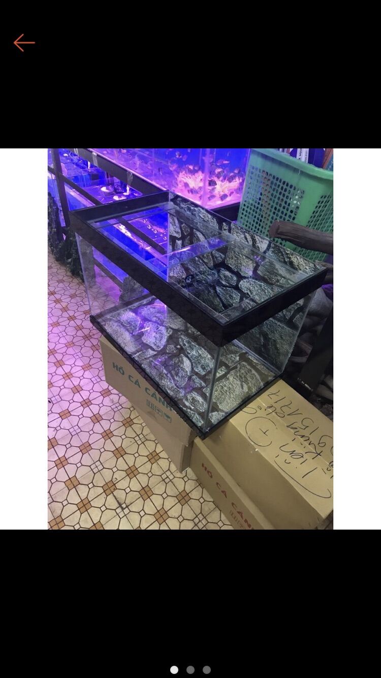 [FreeshipMAX] Hồ cá . Bể cá. Rẻ đẹp bền . 50 * 35 * 35
