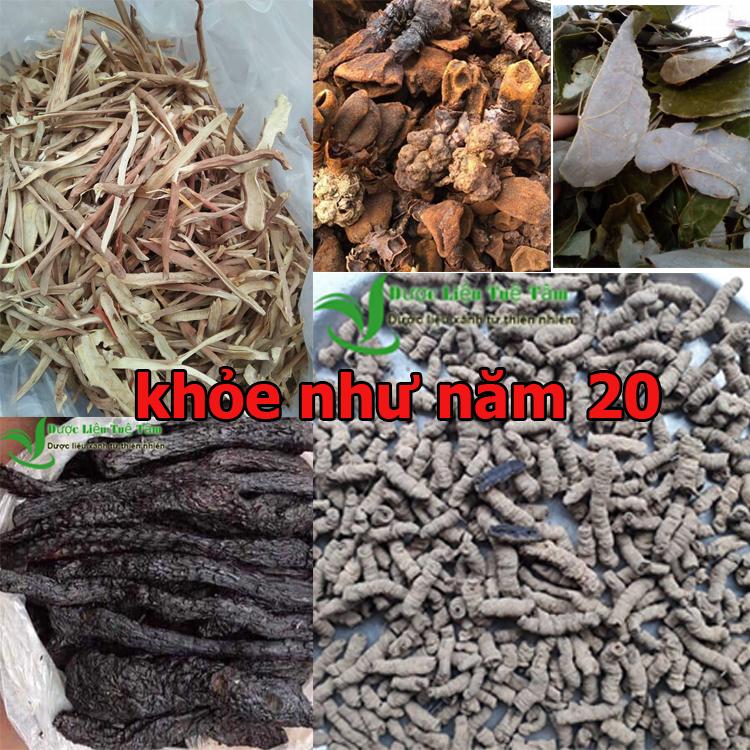 COMBO Sâm cau + nấm ngọc cẩu + dâm dương hoắc + ba kích tím + Nhục thung dung