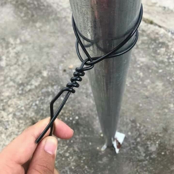 Dây căng giàn dây leo (nho, cà, bầu, bí..) căng sầu riêng, bơ