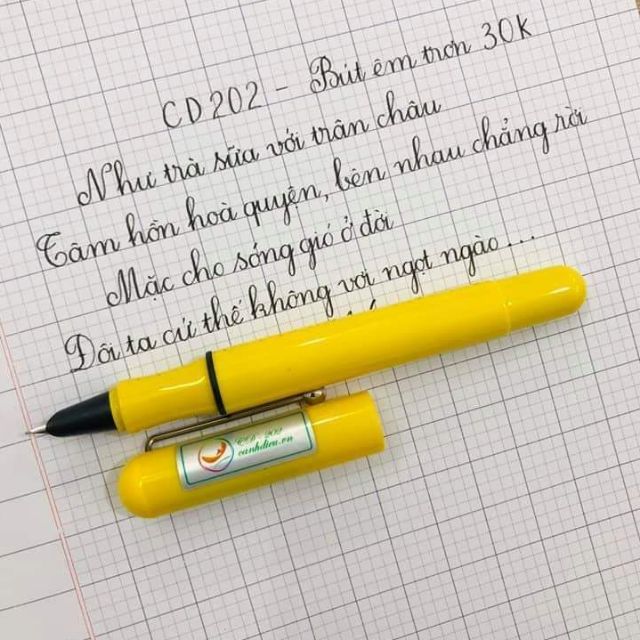 Bút máy CD202 (ngòi kín)