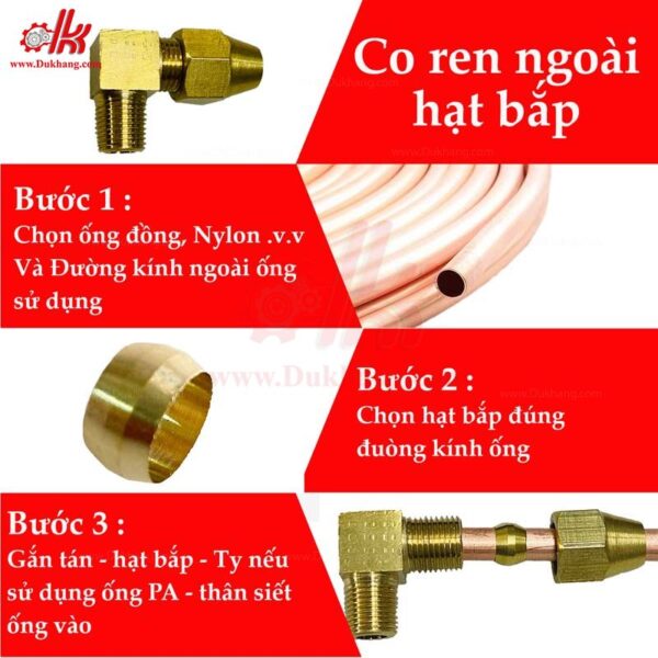 Co Ren ngoài hạt bắp thau
