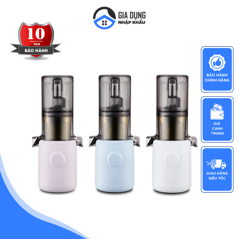 Hurom H310A Personal Self Feeding Slow Masticating Juicer